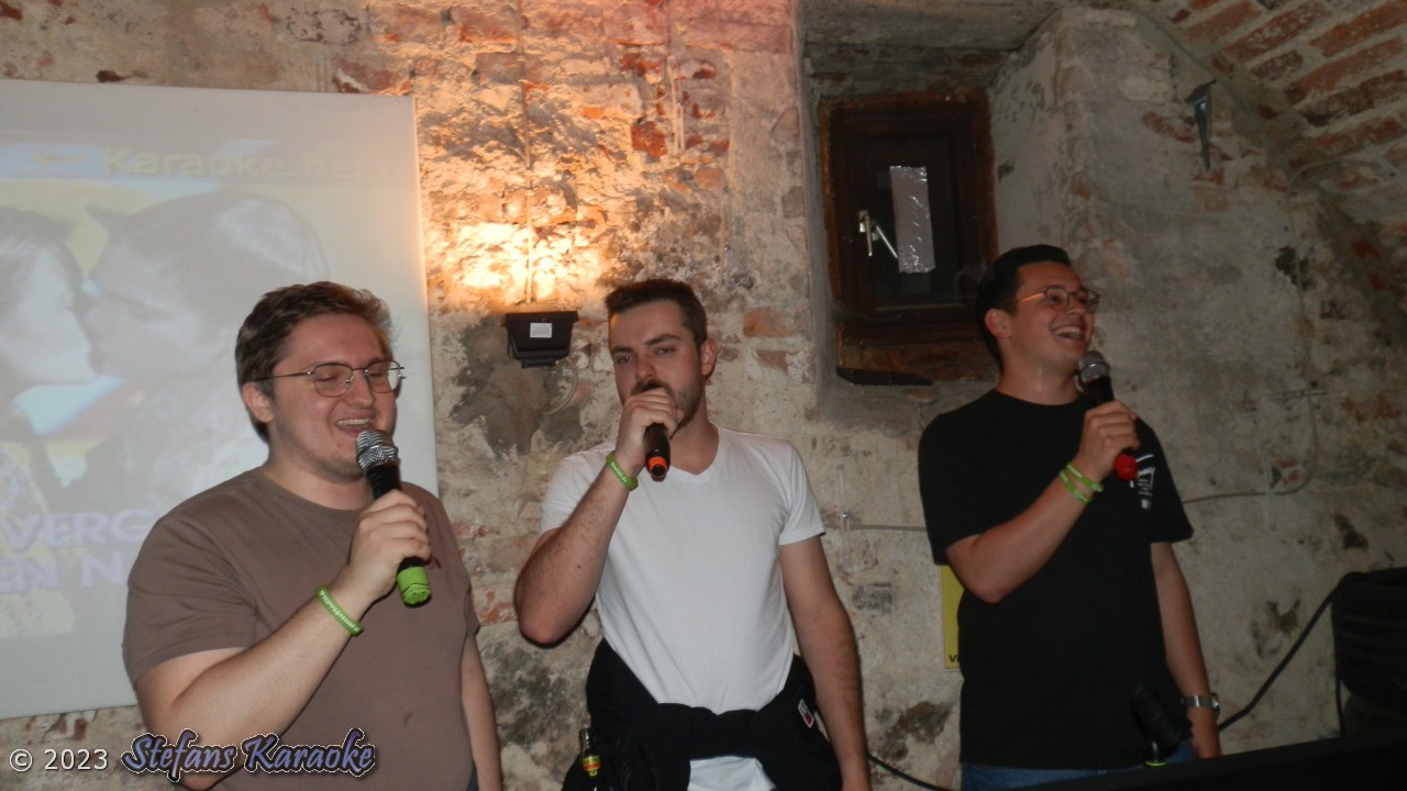 Karaoke bei der Schlossparty Baumgarten