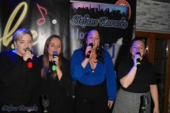 karaoke_in_der_laube_musikbar_20260106_1149945585