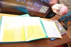 karaoke_bei_der_schlossparty_baumgarten_20250810_1179775828