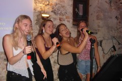 karaoke_bei_der_schlossparty_baumgarten_20250810_1873466601