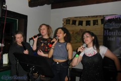 karaoke_im_irish_house_dublin_20260315_1256515484