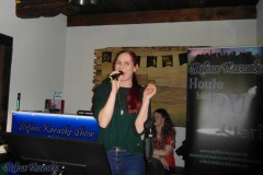 karaoke_im_irish_house_dublin_20260315_1550263153