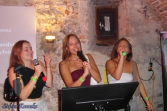 karaoke_bei_der_schlossparty_baumgarten_20250914_1630641754