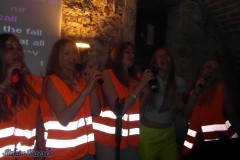 karaoke_bei_der_schlossparty_baumgarten_20251005_1991963448