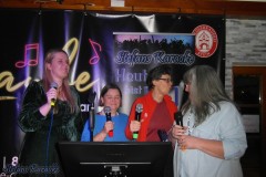 karaoke_in_der_laube_musikbar_20250120_1641910545