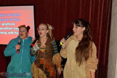 faschingskaraoke_im_landgasthof_rosskothen_20250302_1676542318.jpg