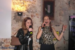 karaoke_bei_der_schlossparty_baumgarten_20260329_1154477160