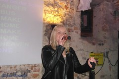 karaoke_bei_der_schlossparty_baumgarten_20260329_1257192486