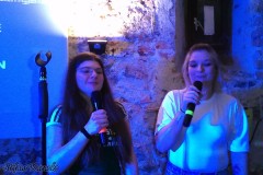 karaoke_bei_der_schlossparty_baumgarten_20260601_1098984453