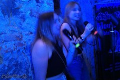 karaoke_bei_der_schlossparty_baumgarten_20260601_1177564381