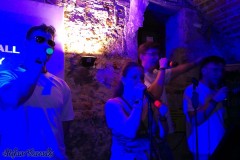 karaoke_bei_der_schlossparty_baumgarten_20260601_2033613646